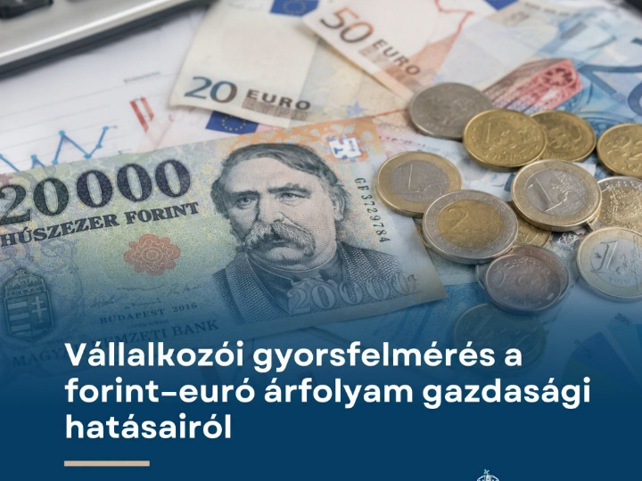 Vállalkozói gyorsfelmérés a forint–euró árfolyam gazdasági hatásairól